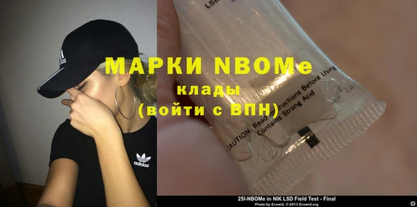 молекула духа Алексеевка